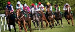 kyneton racecourse