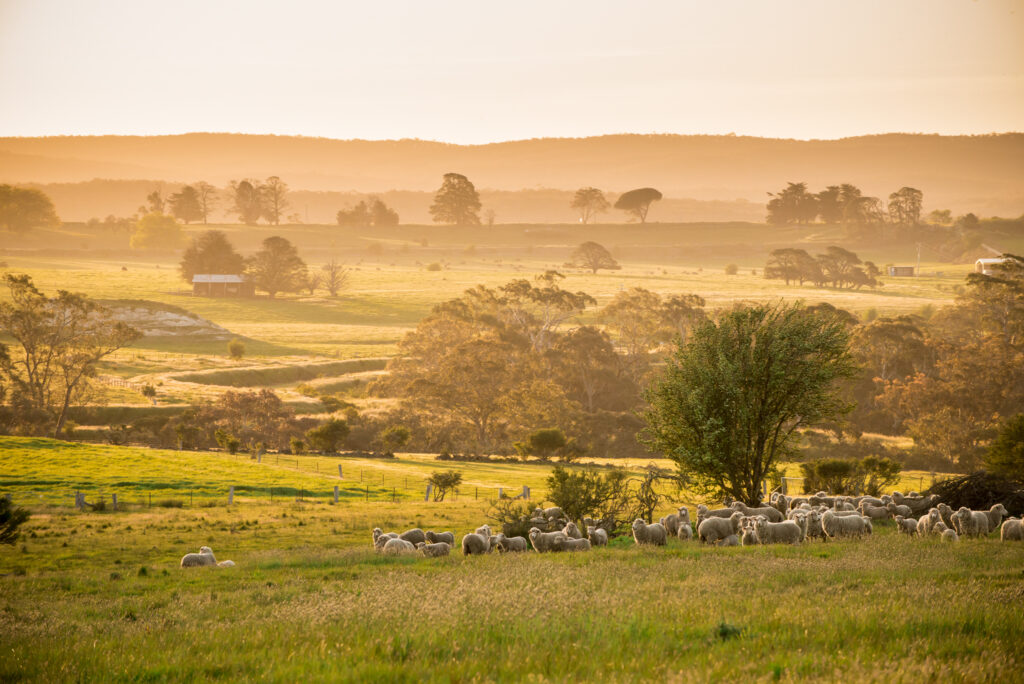 moving to regional victoria