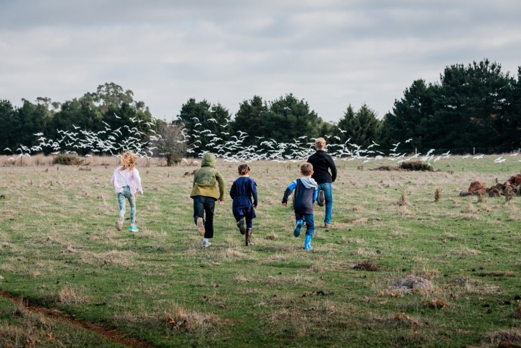 A joyful family playing and running on the field as doves began to swoop overhead