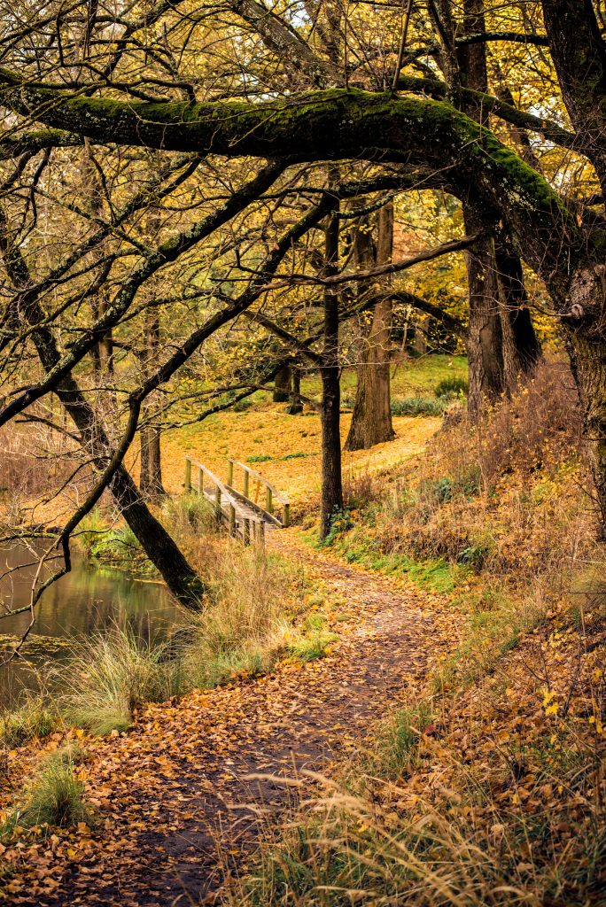 autumn in kyneton